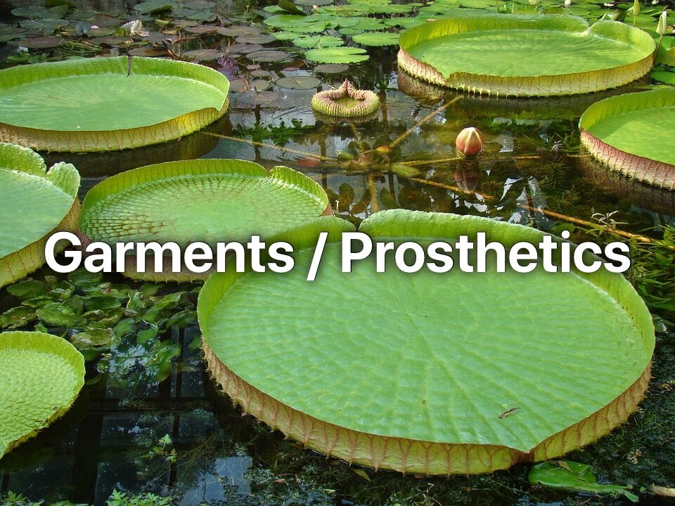 Garments / Prosthetics